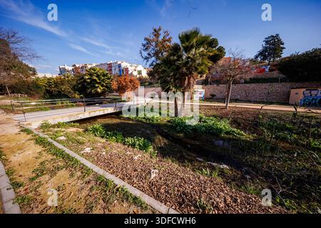 Une vue latérale d'un pont piétonnier enjambant un étroit canal d'eau, entouré de roseaux verts, de palmiers et des maisons suspendues multicolores emblématiques Banque D'Images