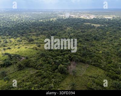 Vue aérienne de la forêt verdoyante avec clairières dispersées sous un vaste ciel, la scène capture la beauté naturelle du paysage, Egbema, Rivières, ni Banque D'Images