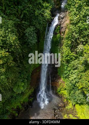 Vue en angle élevé d'une cascade haute et étroite de Gitgit, Bali, Indonésie descendant une falaise, entourée d'une forêt tropicale luxuriante et verdoyante Banque D'Images