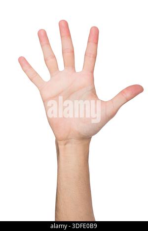 Prenez cinq gestes - paume ouverte tendue, découpe Banque D'Images