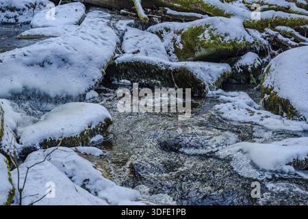 Un ruisseau coule sur de grosses pierres lisses. Certaines roches sont recouvertes de neige et de glace. La zone est verte et montre quelques arbres. C'est l'hiver et le jour Banque D'Images