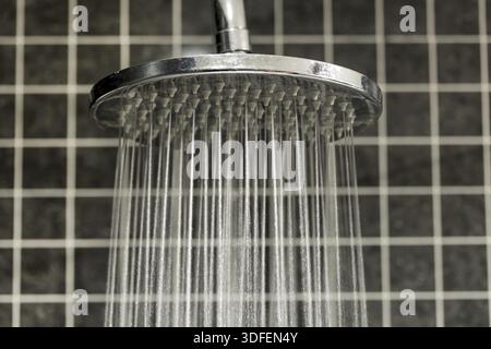 L'eau coule de la douche, gros plan. Le flux d'eau s'écoule de la pomme de douche Banque D'Images
