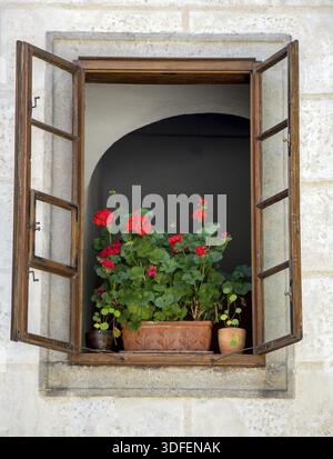 Fleurs en pots dans la fenêtre d'ouverture de la maison historique Banque D'Images