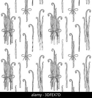 Motif sans couture dessiné à la main fait de gousses de vanille et d'arcs décoratifs sur fond blanc, esquisse botanique détaillée graphique Illustration de Vecteur