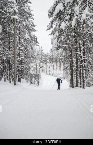 Vue d'un skieur solitaire glissant à travers une forêt enneigée, les arbres lourds de blanc contrastant avec le ciel couvert, Rovaniemi, Laponie, Finlande Banque D'Images