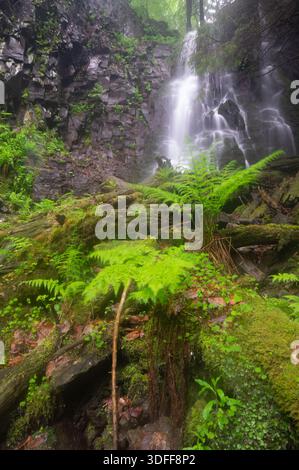 Vue sur les chutes d'eau en cascade descend sur les roches moussues et les fougères luxuriantes, peignant une scène sereine de beauté naturelle et de tranquillité, Polana, Banska Bystri Banque D'Images