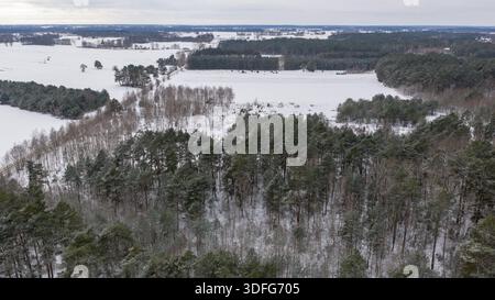 Vue aérienne de Nowy Lubiel, Pologne, avec des champs de neige, des forêts de pins et des bosquets de bouleaux. Les feuilles persistantes sombres se courbent autour des prairies sous la lumière nuageuse, le gel Banque D'Images