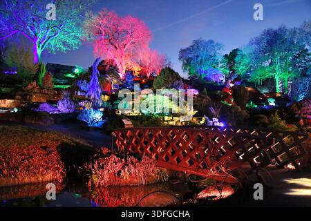 Rock Garden, Glow 2025, RHS Garden Wisley, Woking, Surrey, Angleterre, Grande-Bretagne, Royaume-Uni, Royaume-Uni, Europe Banque D'Images