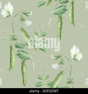 Motif sans couture vintage avec des pousses, des brindilles, des feuilles, des fleurs et des gousses de pois verts. Illustration d'aquarelle dessinée à la main isolée sur fond vert clair Banque D'Images