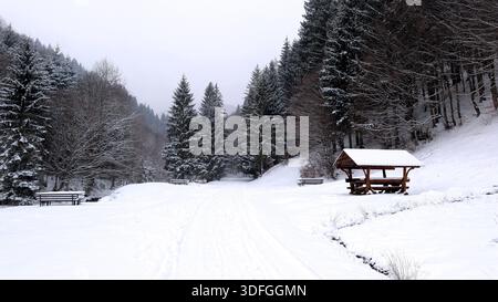 Paysage hivernal paisible avec une route forestière enneigée, un abri de pique-nique en bois et des bancs entourés de pins givrés Banque D'Images