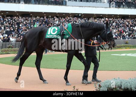 2026/01/04 KYOTO 11R. LE SPORT NIPPON SHO KYOTO KIMPAI 3 / 18 / Shonan Addeybb Kyoto Racecourse à Kyoto, Japon le 4 janvier 2026. (Photo par (photo par Eiichi Yamane/AFLO) Banque D'Images