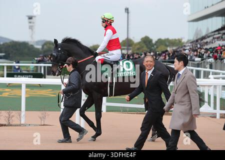 2026/01/04 KYOTO 11R. LE SPORT NIPPON SHO KYOTO KIMPAI 3 / 18 / Shonan Addeybb / Kenichi Ikezoe Jockey Kyoto hippodrome à Kyoto, Japon le 4 janvier 2026. (Photo par (photo par Eiichi Yamane/AFLO) Banque D'Images