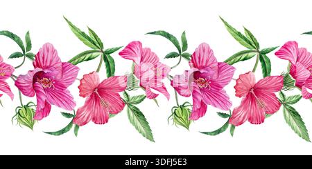 Bordure sans couture avec fleurs d'hibiscus. Illustration d'aquarelle dessinée à la main d'hibiscus. Banque D'Images
