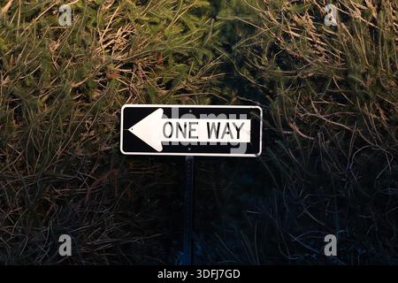 Panneau de rue directionnel unidirectionnel avec une flèche pointant vers la gauche monté sur un poteau sur un fond de feuillage. Banque D'Images