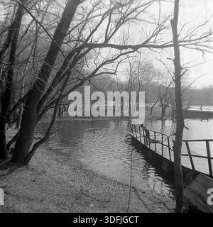 Région de Donetsk, RSS d'Ukraine, Union soviétique, années 1960 Une photographie d'ambiance de format moyen noir et blanc capturant un paysage printanier tranquille au bord de la rivière. Une figure solitaire, probablement un enfant, se tient sur un pont flottant en métal, se penchant au-dessus de la balustrade pour regarder l'eau. De grands troncs d'arbres sombres sur la banque encadrent la scène, contrastant avec la surface ondulante de l'eau. Cette image d’archives transmet l’ambiance de solitude et de contemplation dans le paisible Donbass, préservant un moment de la vie quotidienne au milieu du XXe siècle. Banque D'Images