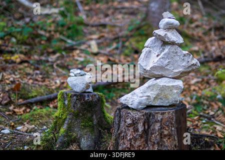Deux piles de pierre équilibrées placées sur des souches de bois dans un cadre forestier avec de la mousse et des feuilles tombées. Banque D'Images