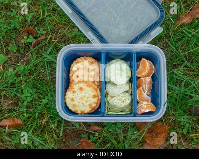 Une boîte à lunch de style bento est ouverte sur l'herbe, remplie de craquelins, de collations vertes et de segments de mandarine, un pique-nique en plein air décontracté, simple et sain Banque D'Images