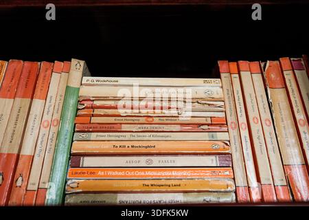Northumberland Royaume-Uni : 19 juillet 2025 : une étagère de bibliothèque abrite une collection variée de livres de pingouins mettant en vedette des œuvres de différents auteurs avec le célèbre sp orange Banque D'Images