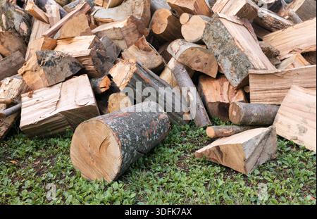 Gros plan de bûches de bois de chauffage empilées en une grande pile reposant sur de l'herbe verte fraîche à l'extérieur Banque D'Images