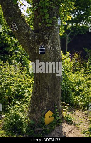 Portes et fenêtres de fées sur l'arbre dans la forêt pour les petits, Irlande Banque D'Images