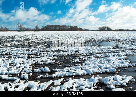 Fonte de neige sur un champ agricole, Nowiny, Pologne Banque D'Images