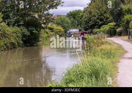 Calme et paisible sur le canal Kennet et Avon à Bradford on Avon, Wiltshire, Angleterre, Royaume-Uni Banque D'Images