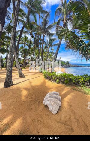 Palmiers le long de la plage tropicale de sable avec rivage rocheux et océan calme, paysage côtier de jour sur l'île de Maui, Hawaï Banque D'Images