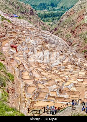 Vue des étangs d'évaporation de sel en terrasse en cascade sur le flanc de la montagne, créant une mosaïque de tons de terre chauds sur fond de vallées verdoyantes, ma Banque D'Images