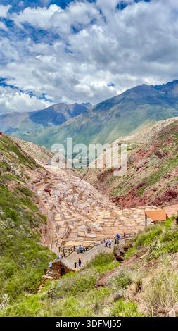 Vue sur les étangs salants en terrasses en cascade dans la vallée, contrastant fortement avec la végétation verte environnante et les montagnes lointaines, Maras, Pérou. Banque D'Images