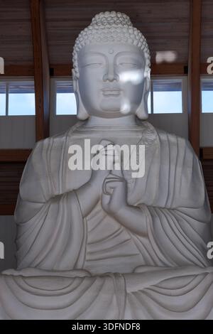 Une photo de la partie supérieure de l'immense statue de Bouddha au monastère de Chuang Yen au Carmel. Il a des arbres de points forts, Banque D'Images