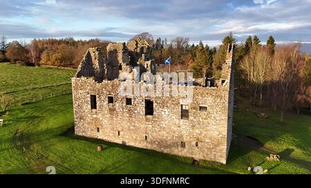 Vue aérienne des ruines du château de Torwood, une tour médiévale écossaise située dans une forêt près de Stirling, en Écosse. Lumière du jour. Banque D'Images