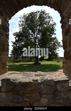 Vue panoramique à travers une fenêtre voûtée en pierre des ruines de Burg Gleichen sur un grand arbre dans la cour, Thuringe, Allemagne. Banque D'Images