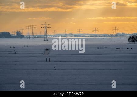 Lignes de transmission d'électricité à travers des terres agricoles néerlandaises enneigées au coucher du soleil, tours de transmission dans un paysage d'hiver Banque D'Images