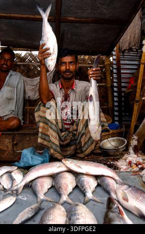 Stall Holder montre ses produits dans un marché aux poissons à Dhaka, au Bangladesh. Banque D'Images
