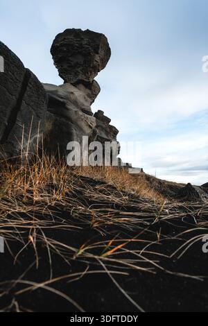 Vue sur le paysage de sable noir et dur parsemé d'herbes dorées et de formations rocheuses surréalistes sous un ciel pâle, Keflavik, Islande. Banque D'Images
