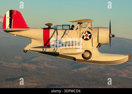 L'image montre un biplan amphibie Grumman J-2F-6 Duck en vol, vu en gros plan d'une perspective air-air avec le pilote visible dans le cockpit ouvert. Cet avion porte l'immatriculation civile N3960C et le numéro de construction 33559. Le J-2F-6 Duck a été construit par Grumman comme un biplan monomoteur à deux baies avec train d'atterrissage rétractable pour les opérations terrestres et maritimes. Il est propulsé par un moteur en étoile à neuf cylindres Wright R-1820 Cyclone refroidi par air. Cet oiseau de guerre restauré est exploité dans le cadre de la collection Erickson Airshow et représente une configuration Duck de production récente. Banque D'Images