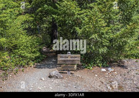 North Cascades NP, WA, États-Unis - 18 août 2021 : le sentier River Loop Trail Banque D'Images