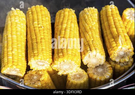 Le maïs à la vapeur dans une casserole de cuisson, les aliments de rue. La bouillie de maïs avec un peu de sucre ou de sel pour obtenir un délicieux goût Banque D'Images
