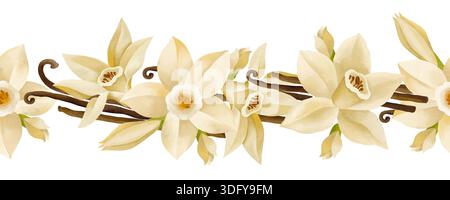 Aquarelle dessinée à la main bordure sans couture de fleurs de vanille en fleurs et de gousses de vanille isolées sur fond blanc Banque D'Images