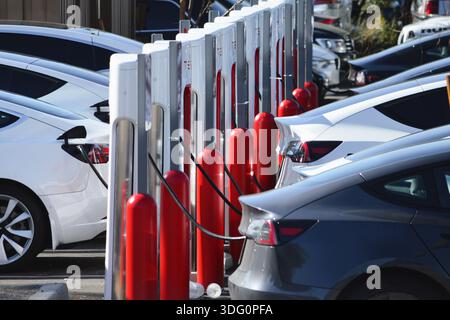 Véhicules électriques garés et rechargeables dans une borne de recharge publique de véhicules électriques à Phoenix, Arizona. Banque D'Images