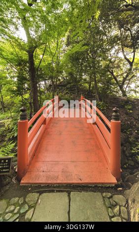 Pont japonais Vermillon Tsuten entouré d'érables et de cerisiers dans la forêt du parc Koishikawa Korakuen, district de Bunkyo, Japon Banque D'Images