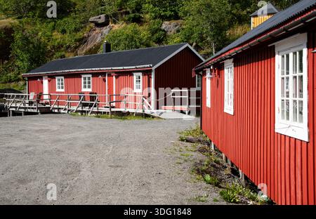 Cabines de rorbu en bois rouge debout sur un terrain de gravier avec des collines vertes en arrière-plan, montrant l'architecture côtière norvégienne Banque D'Images