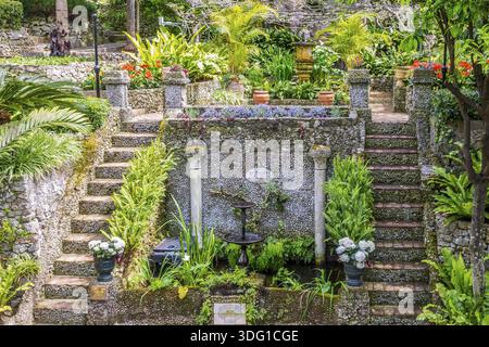 Le jardin botanique dans les jardins d'Alameda, colonie de la Couronne de Gibraltar Banque D'Images