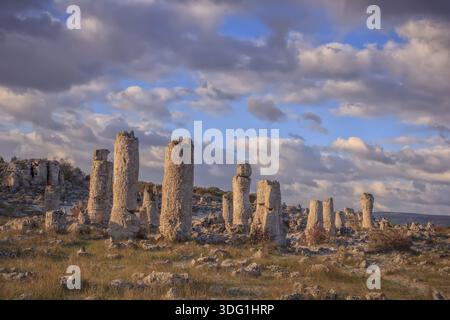 Pobiti Kamani - formations rocheuses naturelles dans la province de Varna, Bulgarie Banque D'Images