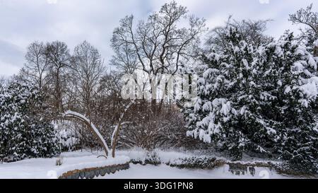 Paysage enneigé avec de grands arbres et une bordure en pierre, créant une scène hivernale sereine avec une atmosphère tranquille et un filtrage de la lumière douce Banque D'Images