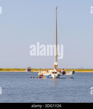 Grand catamaran charter, Cosmos avec un groupe de femmes s'amusant Banque D'Images