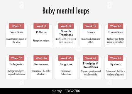 Sauts de développement mental du bébé Illustration de Vecteur