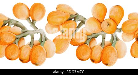 Bordure sans couture de fruits ou de baies. Narguilé ou argousier. Fruits ronds oranges sur les branches. Illustration aquarelle. Dessiné à la main. Isolé de Banque D'Images