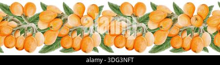 Bordure sans couture de fruits ou de baies. Narguilé ou argousier. Fruits ronds oranges sur les branches. Illustration aquarelle. Dessiné à la main. Isolé de Banque D'Images