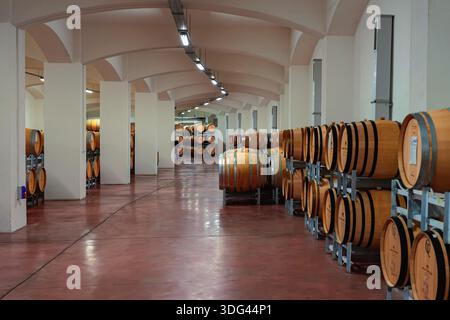 VENETS, BULGARIE - 08 OCTOBRE 2024 : Wide Wine Cellar View. Intérieur spacieux de cave à vin avec une grande quantité de fûts de chêne chez Minkovi Brothers Banque D'Images